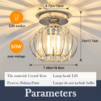 2-Piece Modern Metal Cage Ceiling Light Set – Semi-Flush Indoor Fixtures